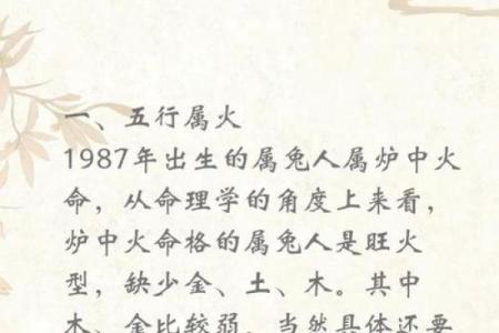 兔男本命年如何做好自己的职业规划