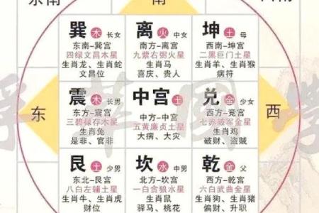 厨房风水布局技巧提升家庭运势的秘密