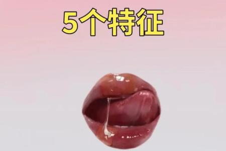 丑女名字背后的文化与社会意义探索
