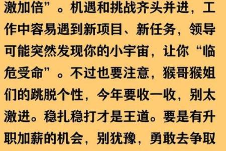 属猴人本命年如何做好自我提升
