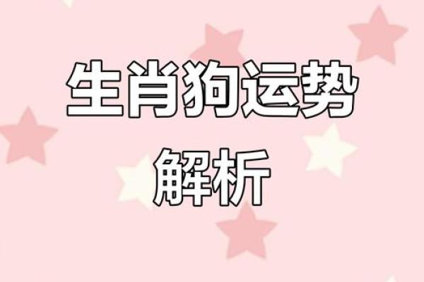 狗年运势全攻略,揭开每月运程的秘密 狗年运势全攻略,揭开每月运程的秘密