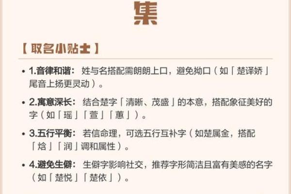 楚姓男孩名字精选,助力孩子未来 楚姓男孩名字精选,助力孩子未来