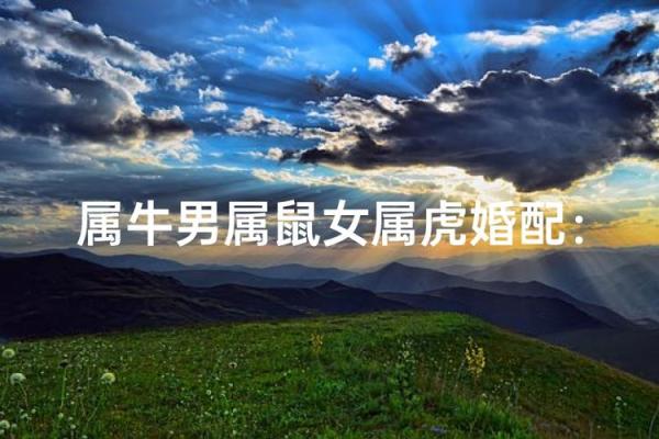 女属虎男属牛的婚姻生活会如何发展 女属虎男属牛的婚姻生活会如何发展