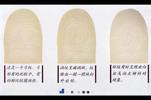 斗簸萁命的来源与文化背景 斗簸萁命的来源与文化背景