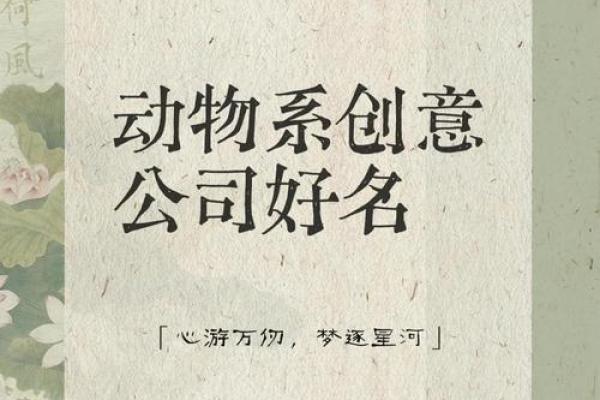 创意与寓意兼具的公司名字推荐 创意与寓意兼具的公司名字推荐