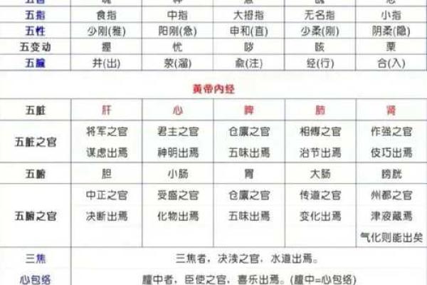 单字五行查询:快速了解名字背后的五行属性解析 单字五行查询:快速了解名字背后的五行属性解析