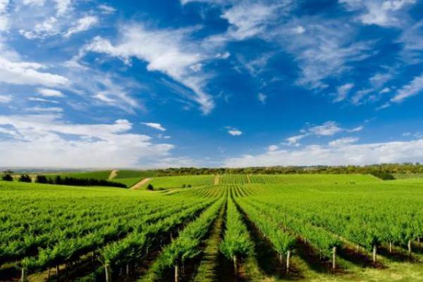 万年历测公司:精准预测,把握未来商机 万年历测公司:精准预测,把握未来商机