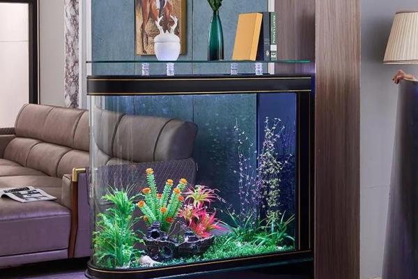 定制曲靖家居风水鱼缸 助您改善家庭运势 定制曲靖家居风水鱼缸 助您改善家庭运势