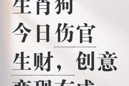 狗年运势全攻略，揭开每月运程的秘密