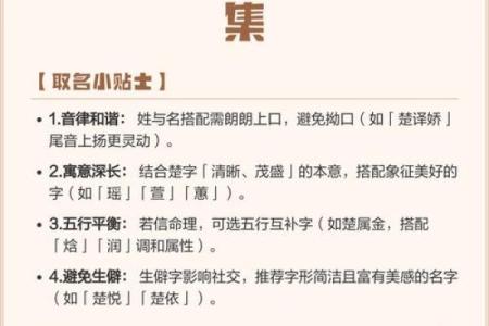 楚姓男孩名字精选，助力孩子未来