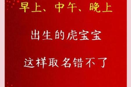 本命年属虎人的个人成长与转型