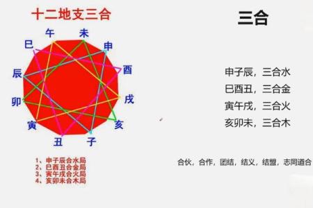 八字拱合：如何通过命理分析提升人生运势