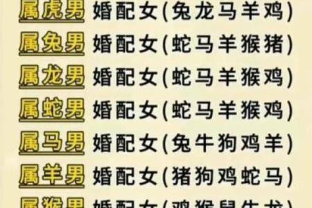 女属虎男属牛的婚姻生活会如何发展