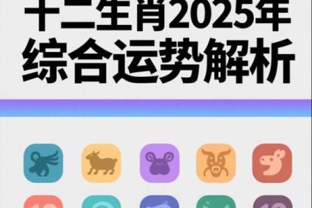 十二生肖运程透视，吉凶与财富运势全解析