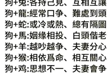 属狗女和属狗男的婚姻匹配度分析