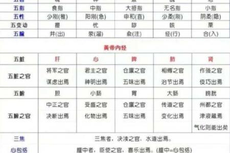 单字五行查询：快速了解名字背后的五行属性解析