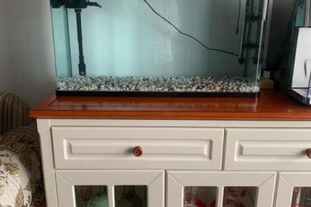 定制曲靖家居风水鱼缸 助您改善家庭运势