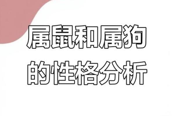 属狗和属猴的性格差异与互补性分析 属狗和属猴的性格差异与互补性分析