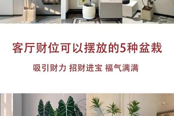 提升财运的秘密:如何布置明财位风水巧妙助财运旺盛 提升财运的秘密:如何布置明财位风水巧妙助财运旺盛