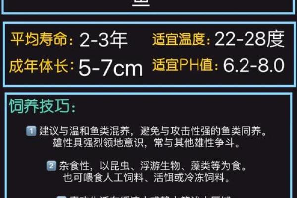 打造完美斗鱼风水环境提升财富运势 打造完美斗鱼风水环境提升财富运势