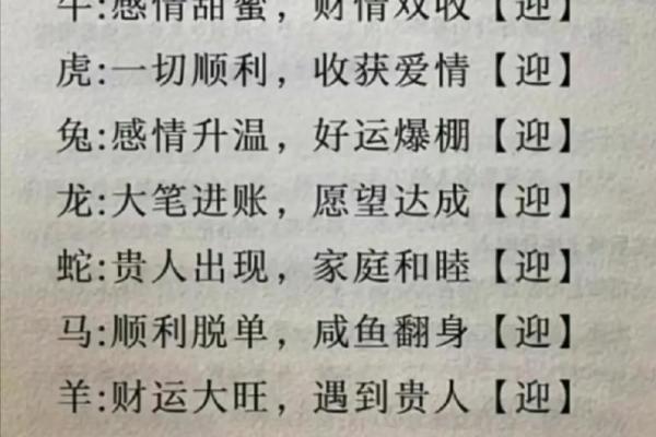 十二生肖运程全解:谁将迎来好运 十二生肖运程全解:谁将迎来好运