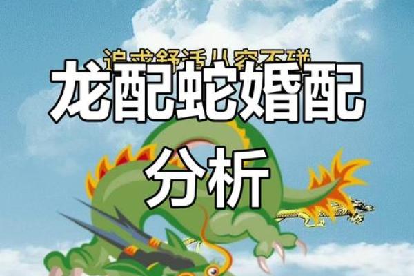 生肖蛇之间的婚姻合适吗 探讨属蛇夫妻的相处之道 生肖蛇之间的婚姻合适吗 探讨属蛇夫妻的相处之道