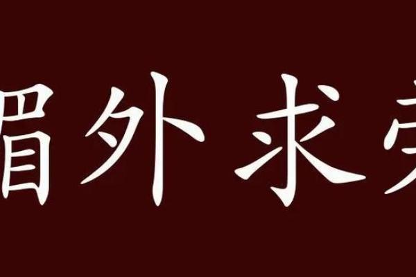 什么是夫荣之命 解析与深度剖析 什么是夫荣之命 解析与深度剖析