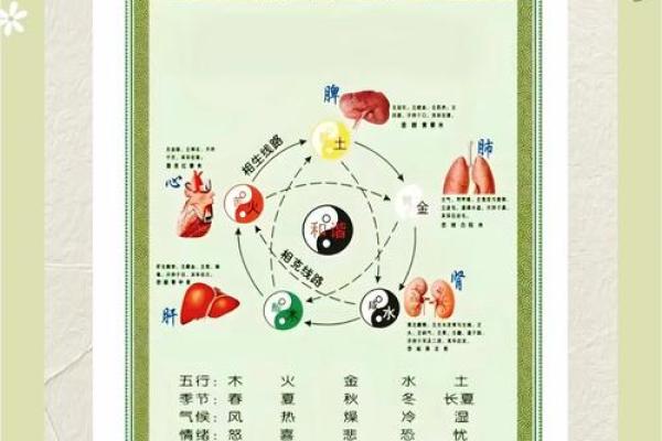 八划五行的深层含义与命理解析 八划五行的深层含义与命理解析