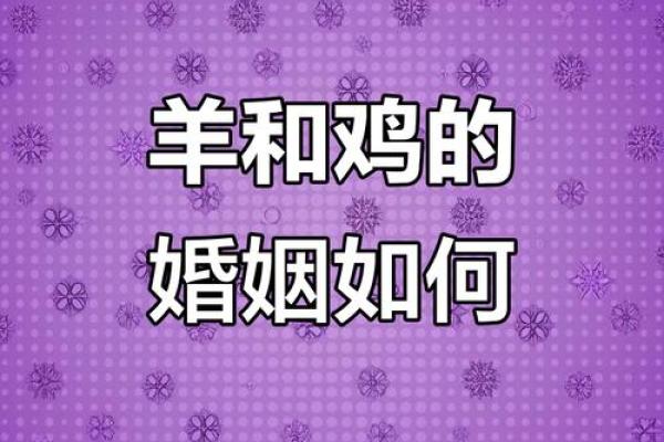 猴男和羊女的婚姻能走多远?深入解读双方的相容性 猴男和羊女的婚姻能走多远?深入解读双方的相容性