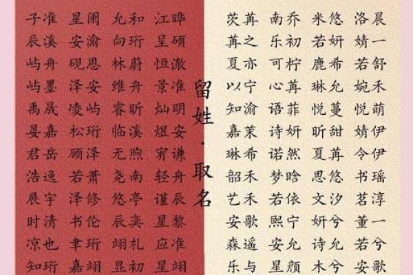宝宝名字背后的意义与家族传承