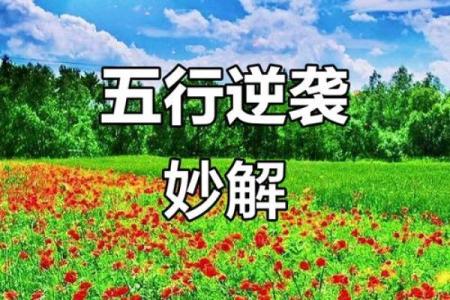 从潇潇五行看人生：如何通过五行改变运程