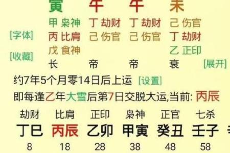 生辰八字大揭秘：万年历算命法，助你洞察人生运势