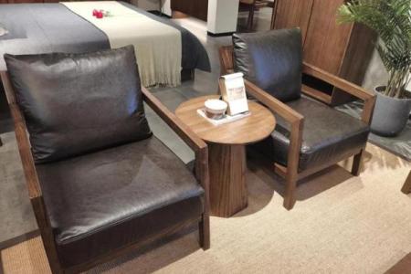 白腊木在家居风水中的作用与摆放技巧