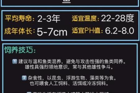 打造完美斗鱼风水环境提升财富运势