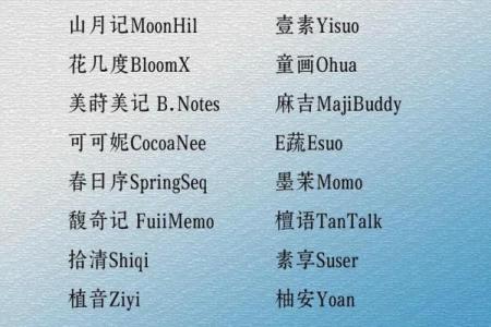 从创意到成功：百货品牌名字的重要性