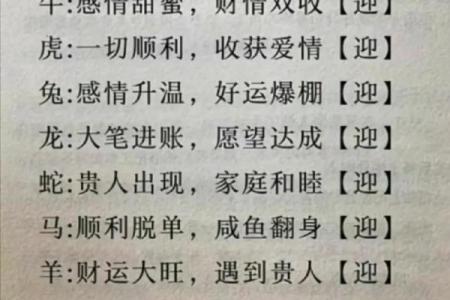 十二生肖运程全解：谁将迎来好运
