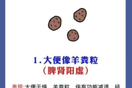 便的五行属性解析：如何通过五行调理身体健康