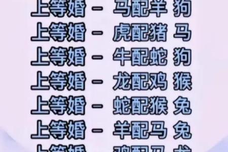 万年历生肖查询：一键解锁你的生肖秘密