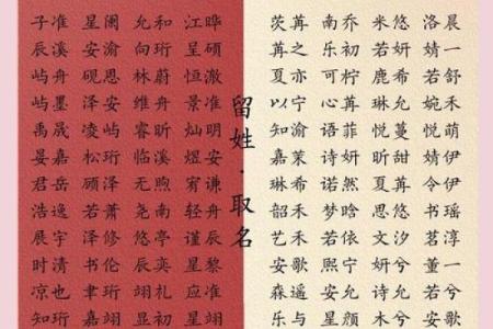 宝宝名字背后的意义与家族传承