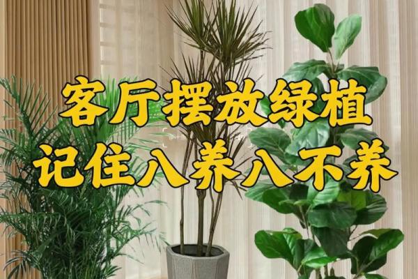 从风水角度看，居家植物的选择与摆放技巧