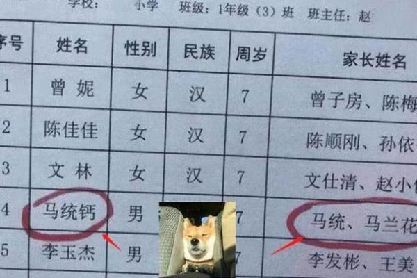 超长名字与个人发展之间的关系