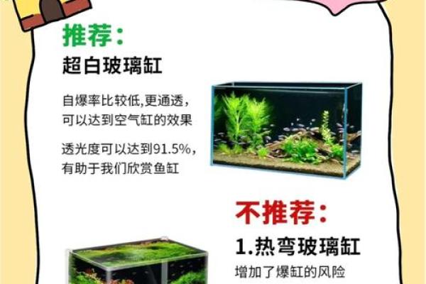 打造完美家居风水的云南鱼缸品牌解析 打造完美家居风水的云南鱼缸品牌解析