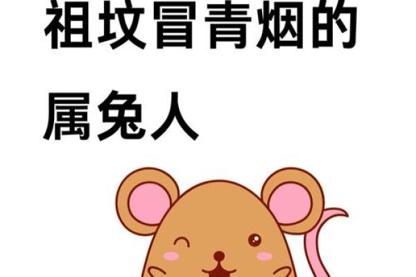 兔男的本命年吉祥物与避开禁忌