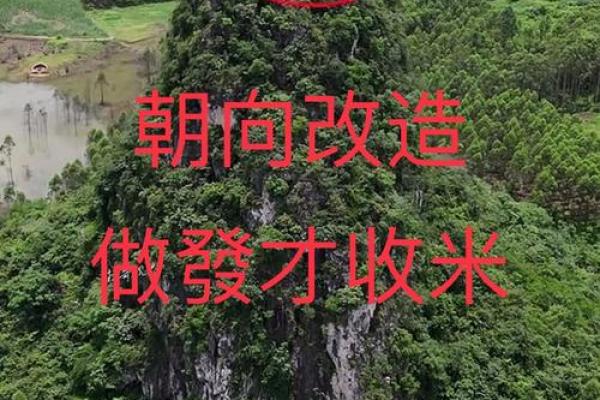 从阴宅风水看后人事业与家庭的繁荣 从阴宅风水看后人事业与家庭的繁荣