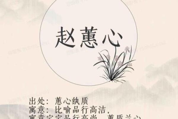 赵宝宝命名:如何挑选既吉利又有意义的名字 赵宝宝命名:如何挑选既吉利又有意义的名字