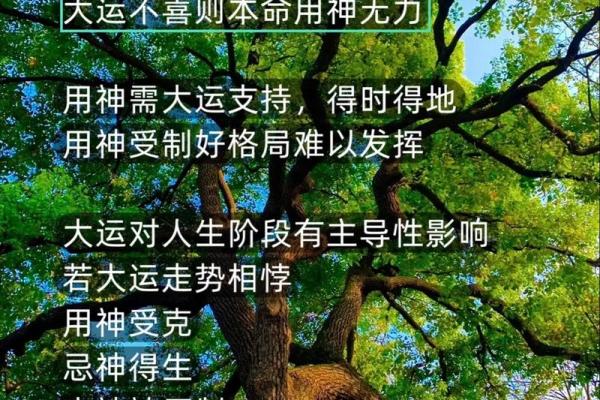八字预测学:破解命运密码,走向成功人生 八字预测学:破解命运密码,走向成功人生