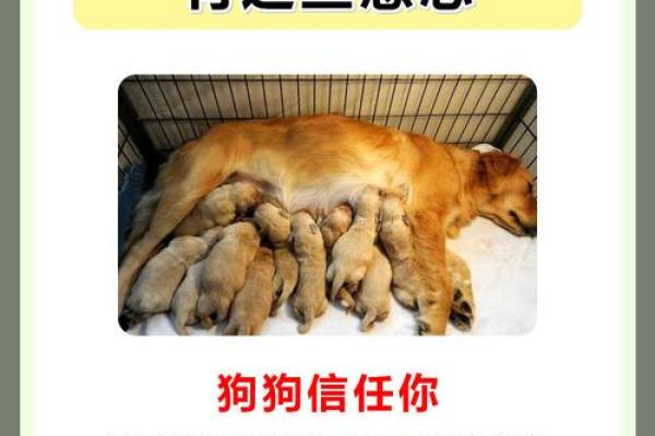 揭秘农历九月十三:背后竟有这么多故事 揭秘农历九月十三:背后竟有这么多故事