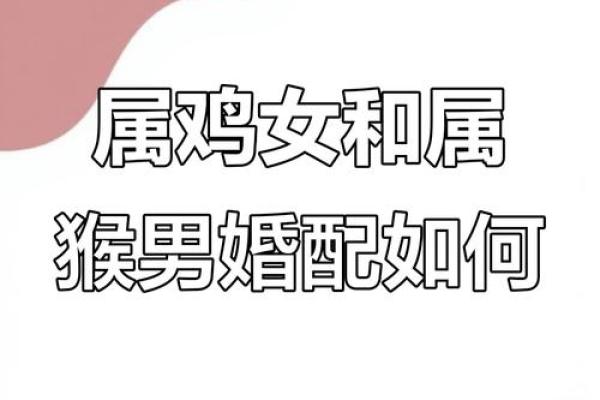 属鸡女与属马男的性格契合度解析 属鸡女与属马男的性格契合度解析