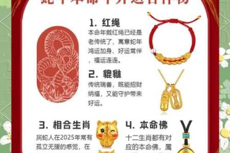 本命年蛇男的职场人脉拓展与职业规划