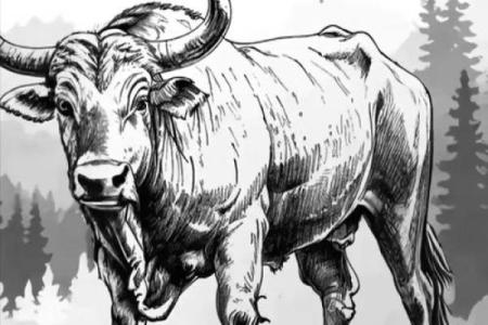 揭秘牛人运程的五大关键因素